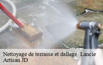 Nettoyage de terrasse et dallage lancie-69220 Artisan JD