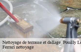 Nettoyage de terrasse et dallage   pouilly-le-monial-69400 Ferrari nettoyage
