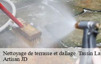 Nettoyage de terrasse et dallage tassin-la-demi-lune-69160 Artisan JD