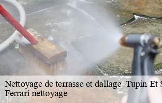 Nettoyage de terrasse et dallage   tupin-et-semons-69420 Ferrari nettoyage