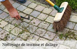 Nettoyage de terrasse et dallage   genas-69740 Artisan JD