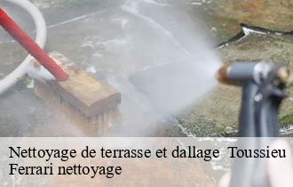 Nettoyage de terrasse et dallage   toussieu-69780 Ferrari nettoyage