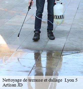Nettoyage de terrasse et dallage lyon-5-69005 Artisan JD