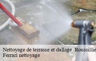 Nettoyage de terrasse et dallage   roussilliere-69440 Ferrari nettoyage