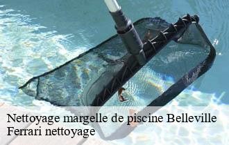 Nettoyage margelle de piscine  belleville-69220 Ferrari nettoyage