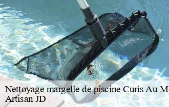 Nettoyage margelle de piscine curis-au-mont-d-or-69250 Artisan JD