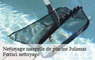 Nettoyage margelle de piscine  julienas-69840 Ferrari nettoyage