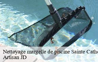 Nettoyage margelle de piscine sainte-catherine-69440 Artisan JD
