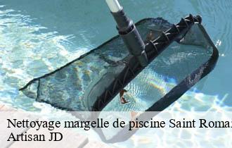 Nettoyage margelle de piscine saint-romain-en-gal-69560 Artisan JD