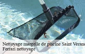 Nettoyage margelle de piscine  saint-verand-69620 Ferrari nettoyage