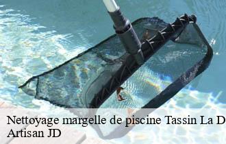 Nettoyage margelle de piscine tassin-la-demi-lune-69160 Artisan JD