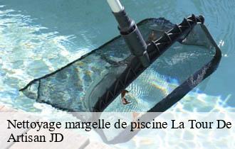 Nettoyage margelle de piscine la-tour-de-salvagny-69890 Artisan JD