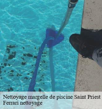 Nettoyage margelle de piscine  saint-priest-69800 Ferrari nettoyage