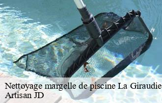 Nettoyage margelle de piscine la-giraudiere-69690 Artisan JD