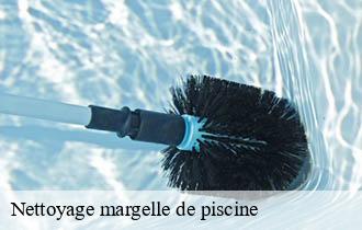 Nettoyage margelle de piscine la-roche-69640 Artisan JD