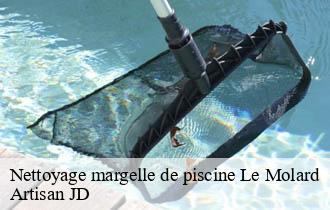 Nettoyage margelle de piscine le-molard-69430 Artisan JD