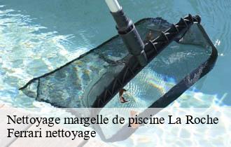 Nettoyage margelle de piscine  la-roche-69620 Ferrari nettoyage
