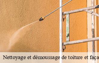 Nettoyage et démoussage de toiture et façade  la-chapelle-sur-coise-69590 Ferrari nettoyage