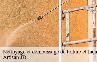 Nettoyage et démoussage de toiture et façade chatillon-69380 Artisan JD