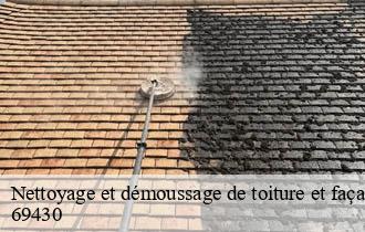 Nettoyage et démoussage de toiture et façade  chenelette-69430 Ferrari nettoyage