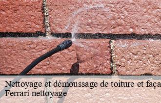 Nettoyage et démoussage de toiture et façade  lentilly-69210 Ferrari nettoyage