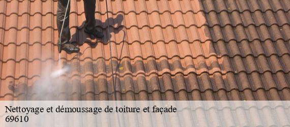 Nettoyage et démoussage de toiture et façade  montromant-69610 Ferrari nettoyage