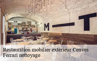 Restauration mobilier extérieur  cenves-69840 Ferrari nettoyage