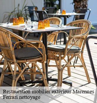 Restauration mobilier extérieur  marennes-69970 Ferrari nettoyage