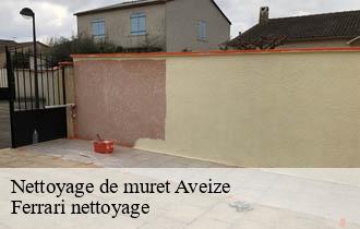 Nettoyage de muret  aveize-69610 Ferrari nettoyage