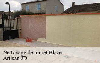Nettoyage de muret blace-69460 Artisan JD