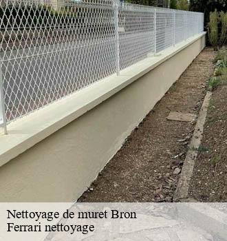 Nettoyage de muret  bron-69500 Ferrari nettoyage