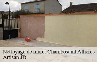 Nettoyage de muret chambosaint-allieres-69870 Artisan JD