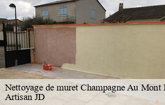 Nettoyage de muret champagne-au-mont-d-or-69410 Artisan JD