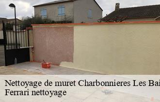 Nettoyage de muret  charbonnieres-les-bains-69260 Ferrari nettoyage