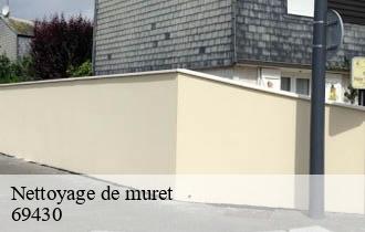 Nettoyage de muret  chenelette-69430 Artisan JD