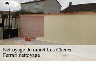 Nettoyage de muret  les-cheres-69380 Ferrari nettoyage