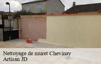 Nettoyage de muret  chevinay-69210 Artisan JD