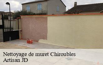 Nettoyage de muret chiroubles-69115 Artisan JD