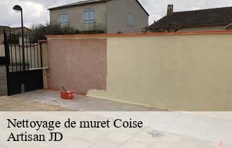 Nettoyage de muret coise-69590 Artisan JD