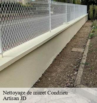 Nettoyage de muret condrieu-69420 Artisan JD