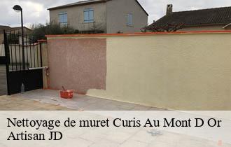 Nettoyage de muret curis-au-mont-d-or-69250 Artisan JD
