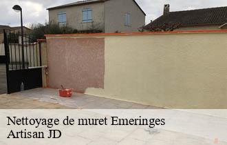 Nettoyage de muret emeringes-69840 Artisan JD