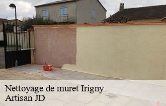 Nettoyage de muret irigny-69540 Artisan JD