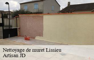 Nettoyage de muret lissieu-69380 Artisan JD