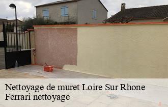 Nettoyage de muret  loire-sur-rhone-69700 Ferrari nettoyage