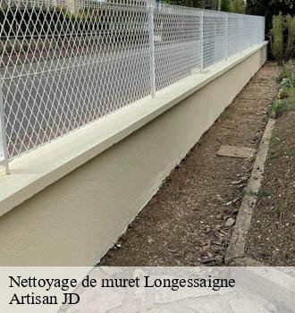 Nettoyage de muret longessaigne-69770 Artisan JD