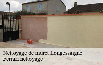 Nettoyage de muret  longessaigne-69770 Ferrari nettoyage