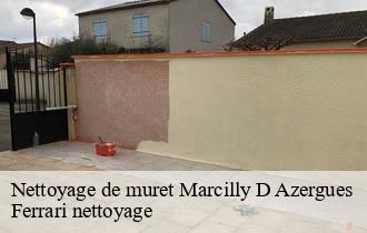 Nettoyage de muret  marcilly-d-azergues-69380 Ferrari nettoyage