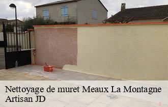 Nettoyage de muret meaux-la-montagne-69550 Artisan JD