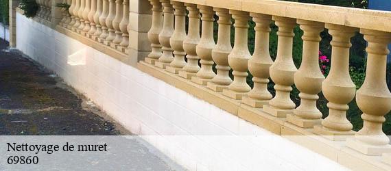 Nettoyage de muret  monsols-69860 Ferrari nettoyage